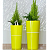  Double Flowerpot /  